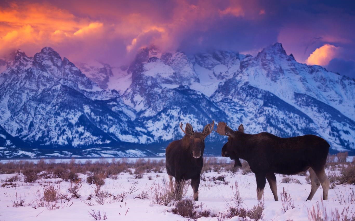 US National Parks screenshot
