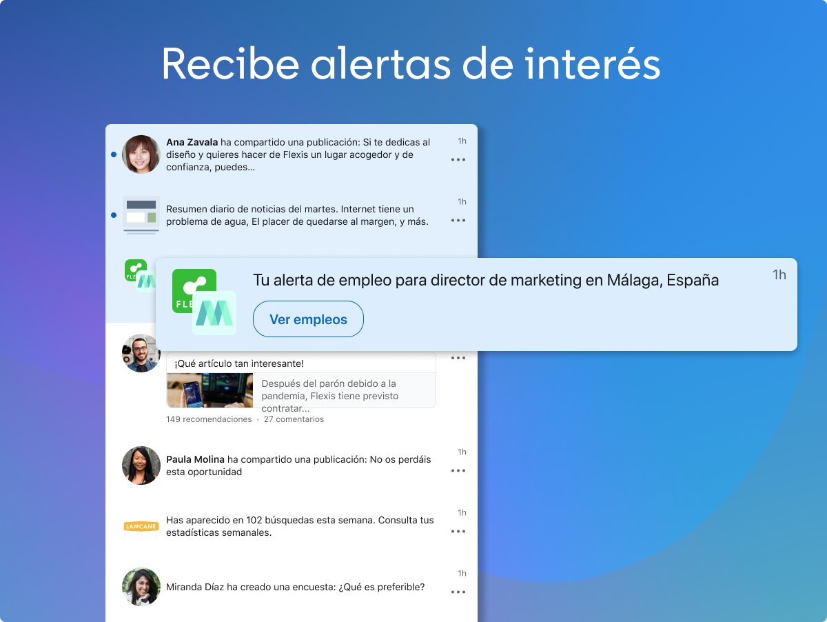 Captura de pantalla de LinkedIn