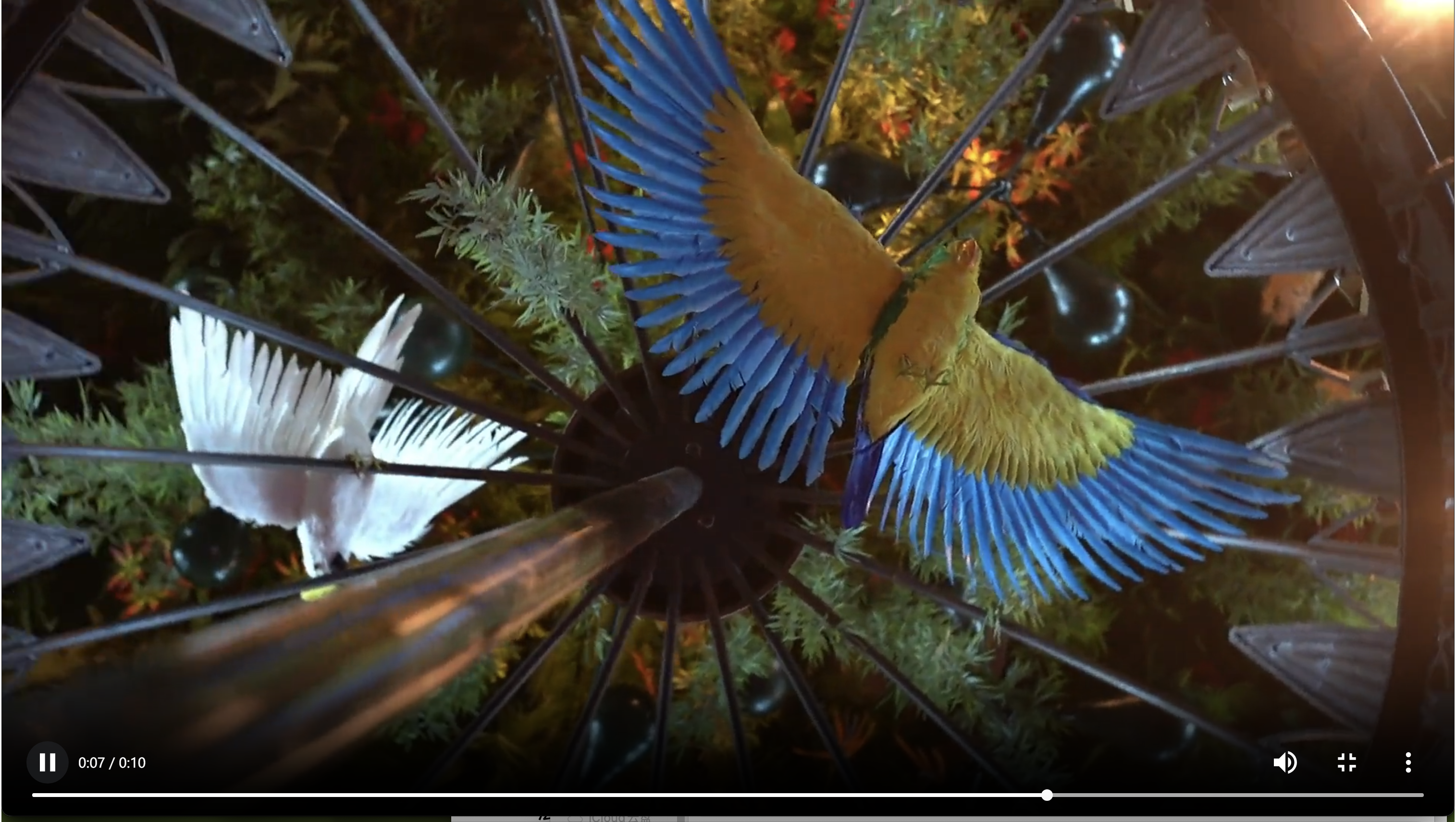Vision VR Player Screenshot