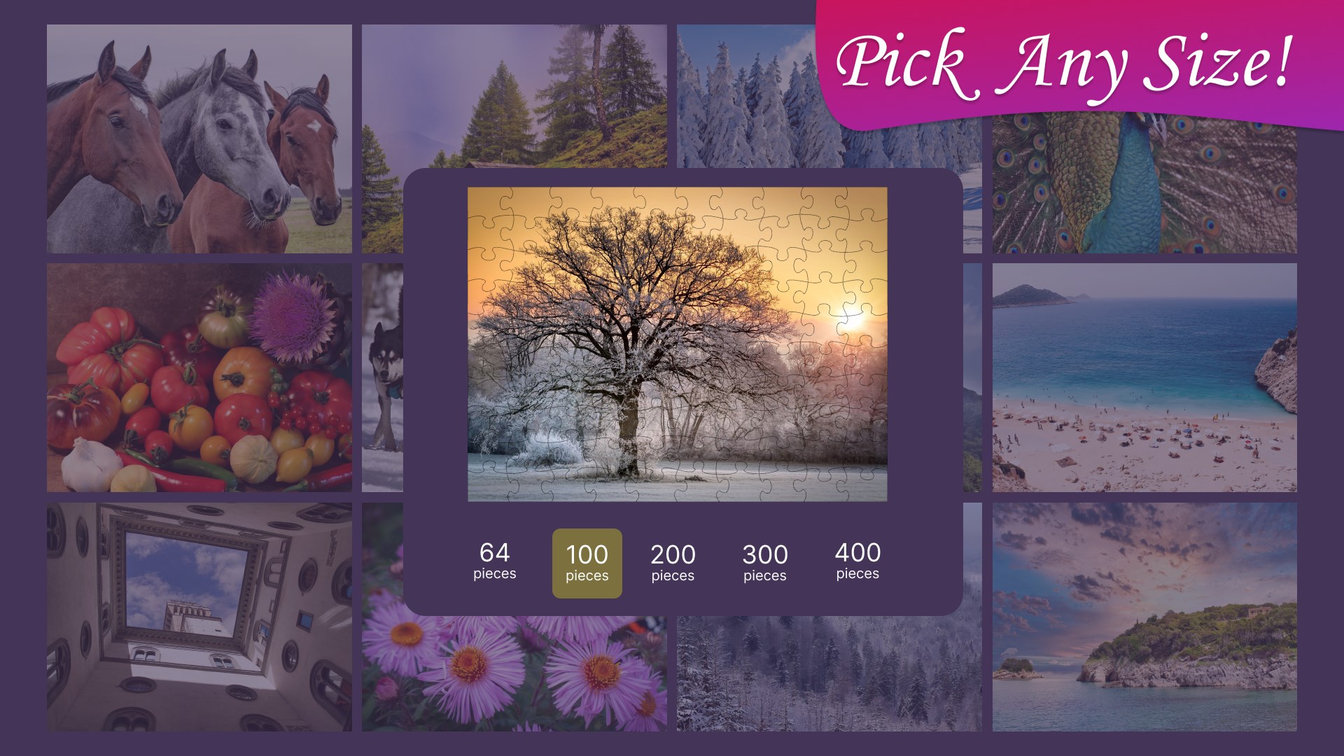 Jigsaw Puzzle Frenzy screenshot