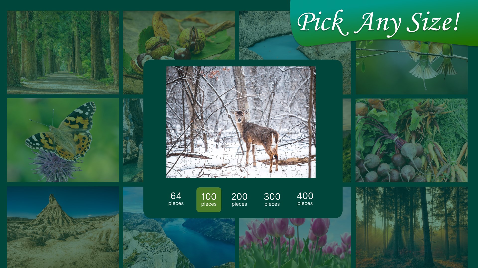 Jigsaw Puzzle Nature screenshot