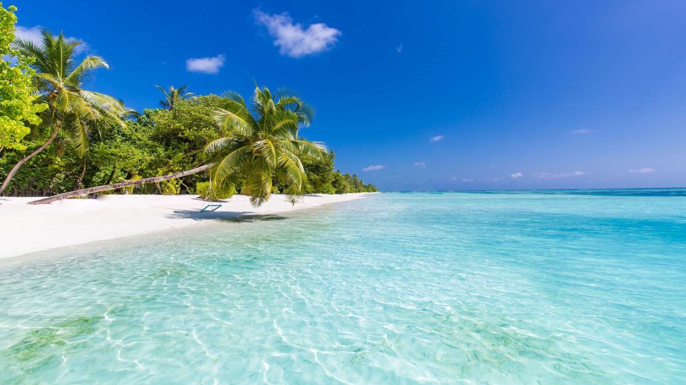 Beach Time screenshot