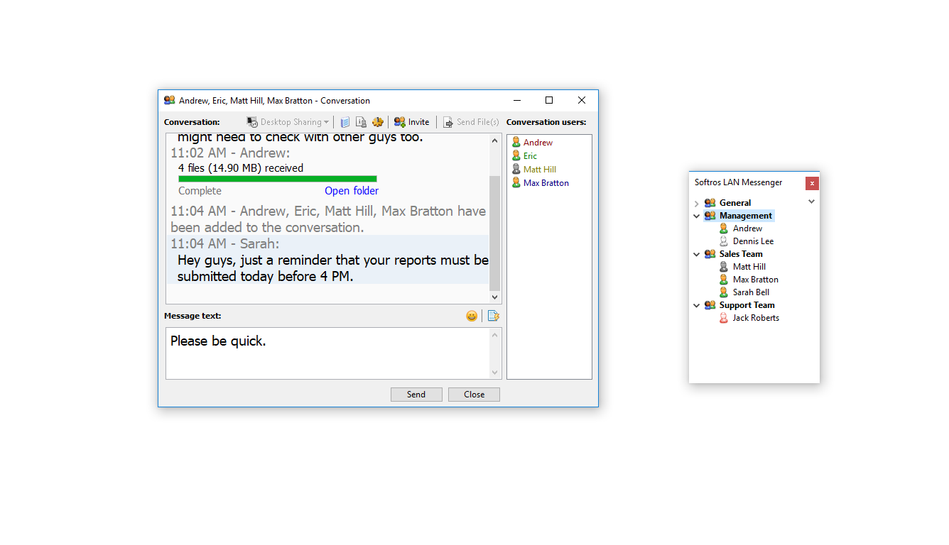 Captura de pantalla de Softros LAN Messenger