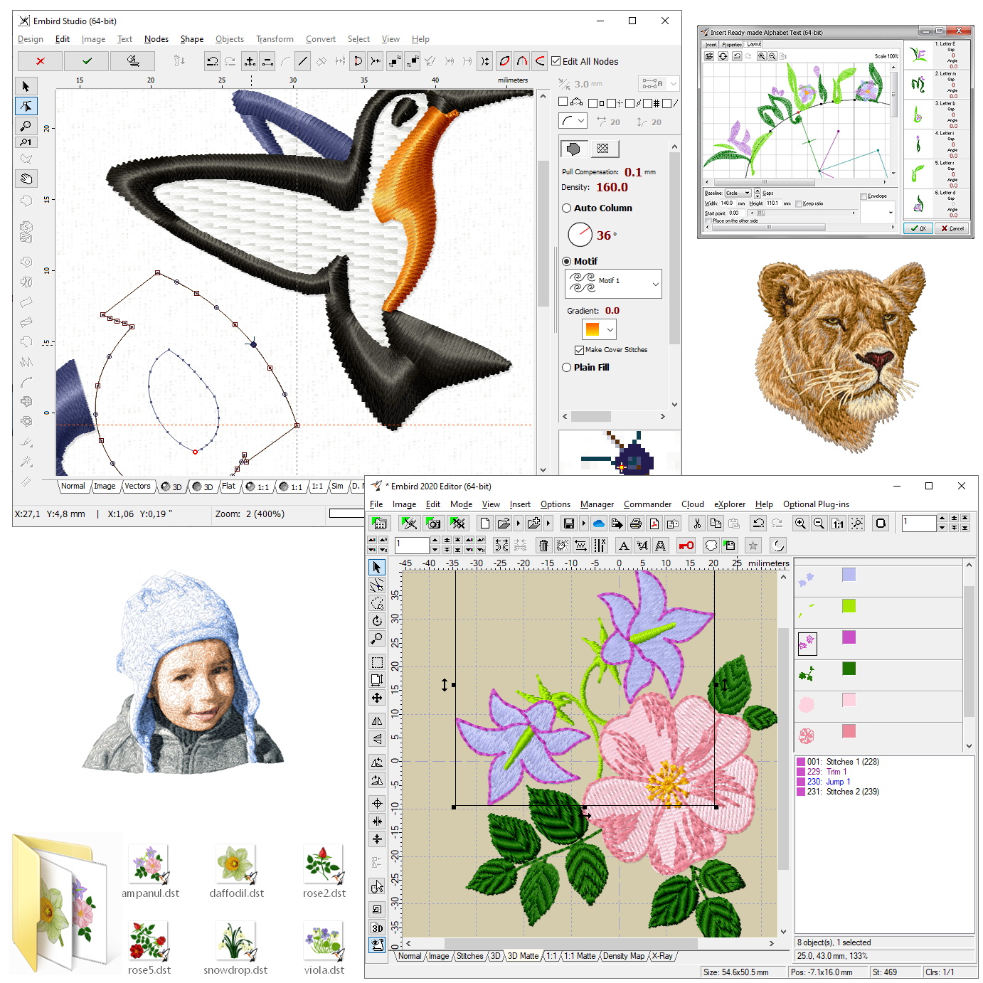 Captura de pantalla de Software de bordado Embird