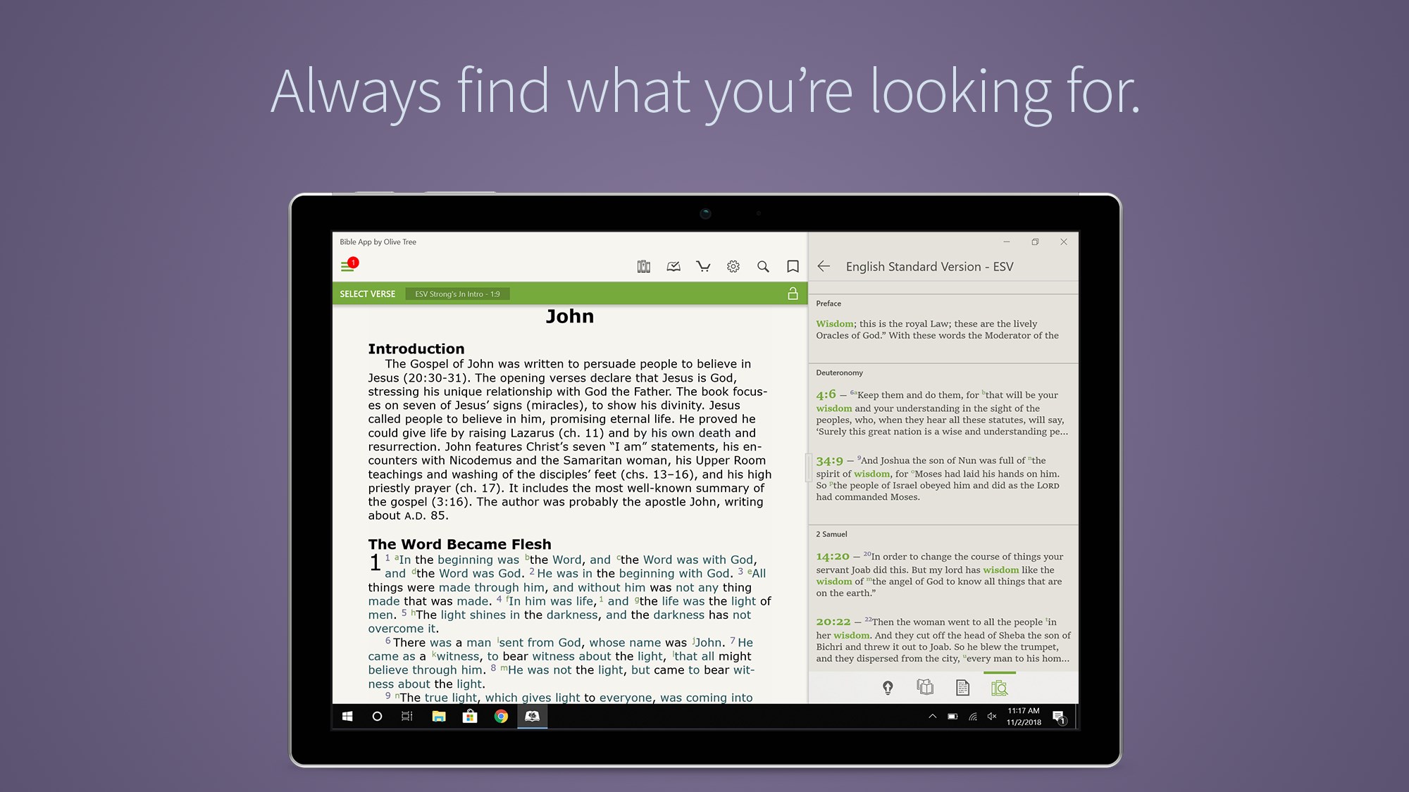 Bible by Olive Tree screenshot