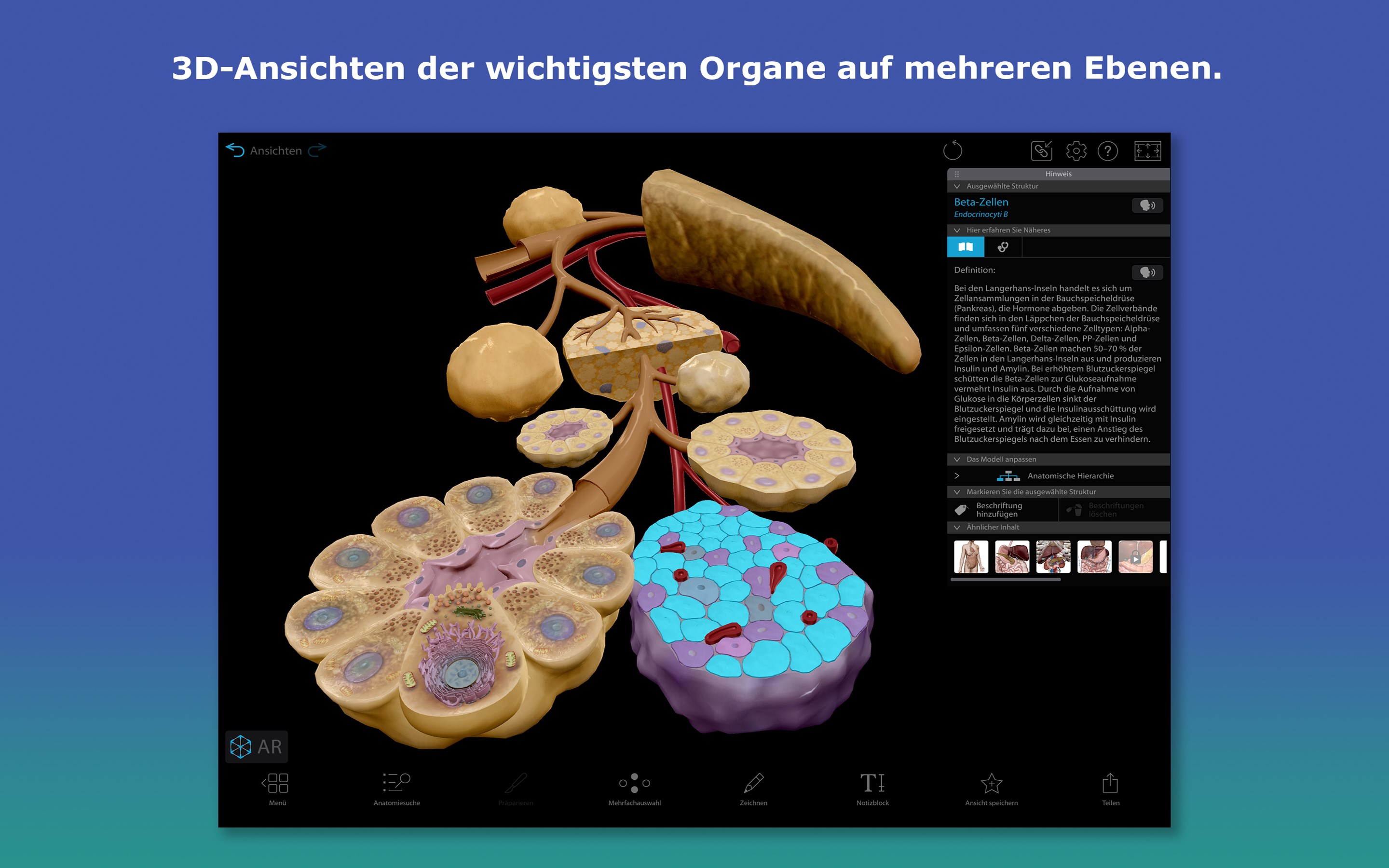 Atlas der Humananatomie 2026: Körper des Menschen in 3D Screenshot