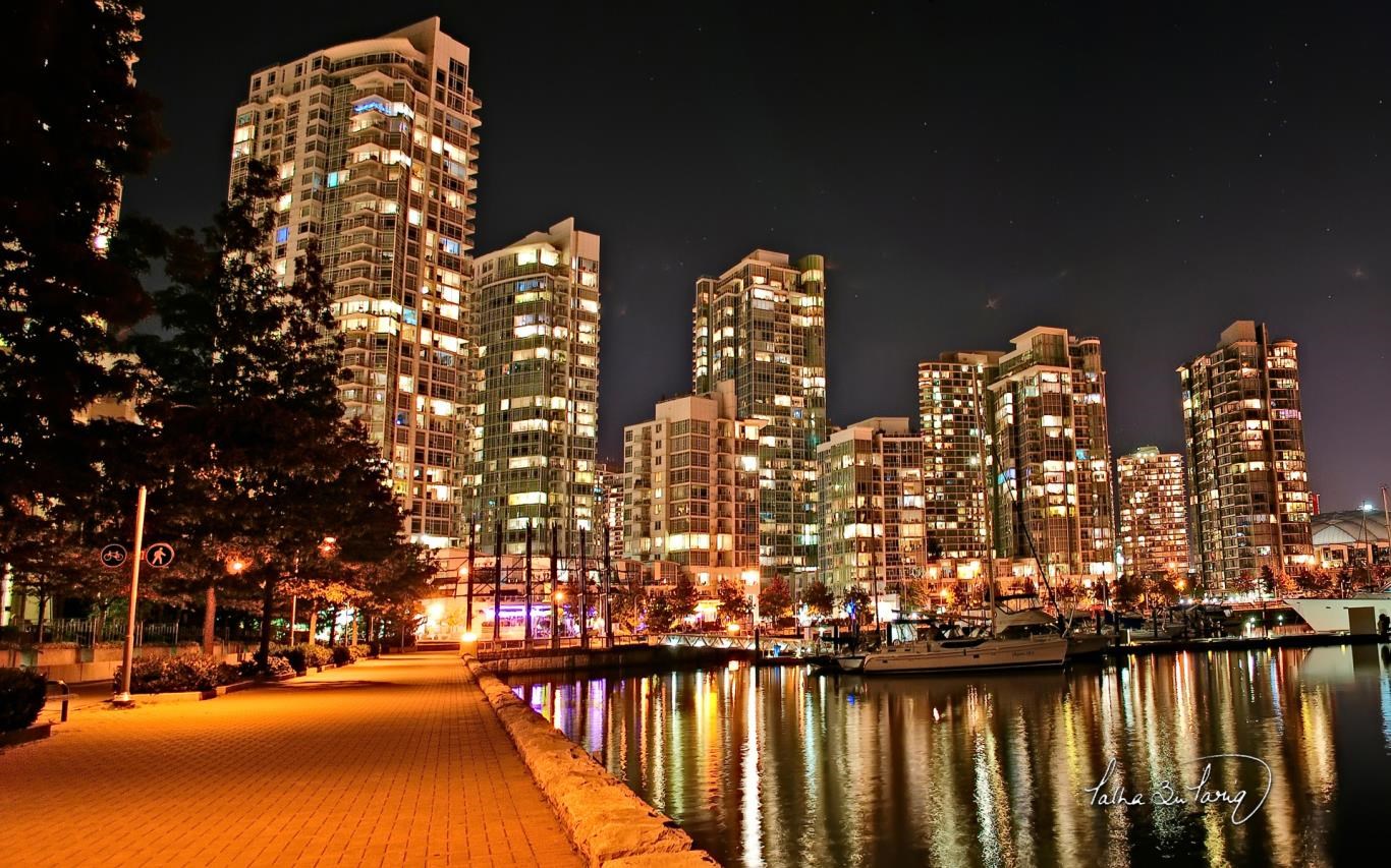 City Lights by Talha Tariq screenshot