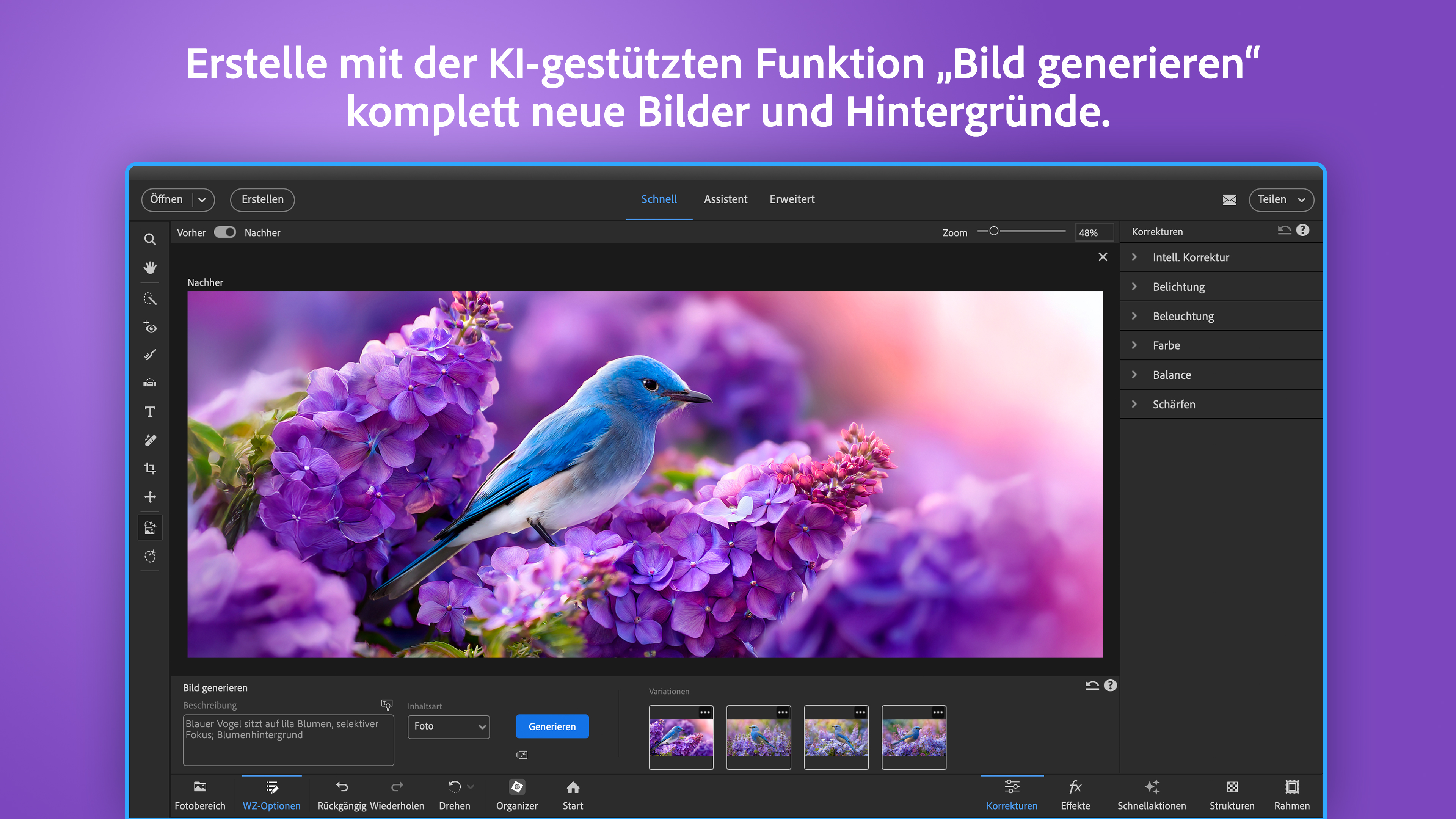 Adobe Photoshop Elements & Premiere Elements 2026 Screenshot
