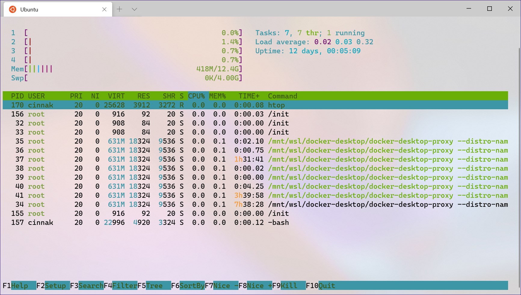 Windows Terminal screenshot