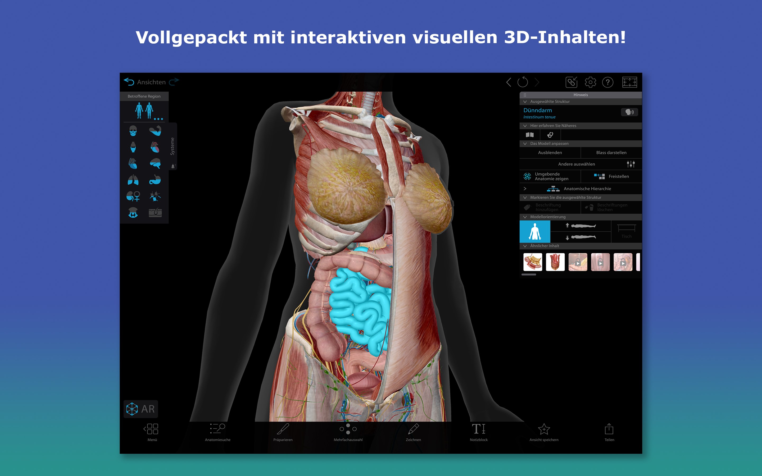 Atlas der Humananatomie 2026: Körper des Menschen in 3D Screenshot