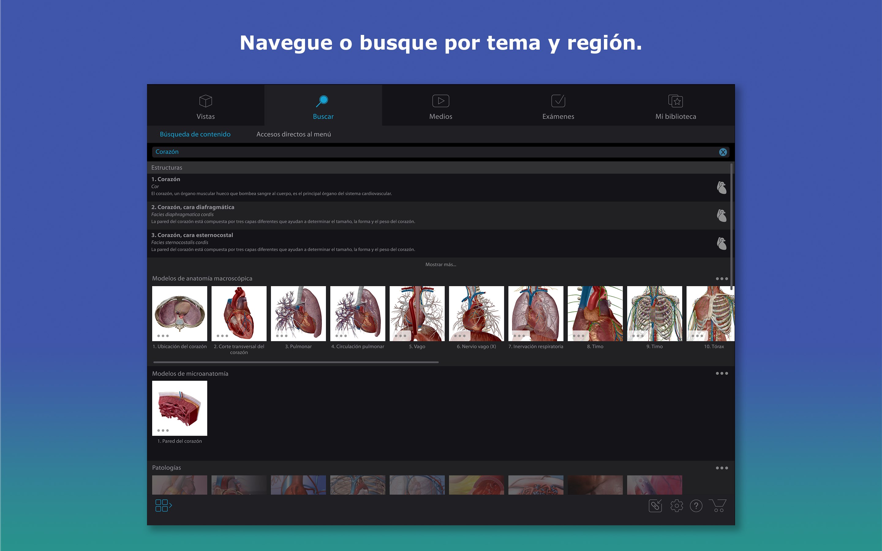 Captura de pantalla de Atlas de anatomía humana 2026: Cuerpo humano completo en 3D