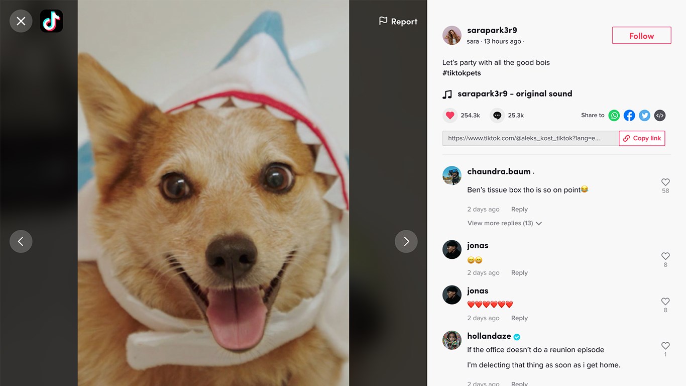 TikTok screenshot