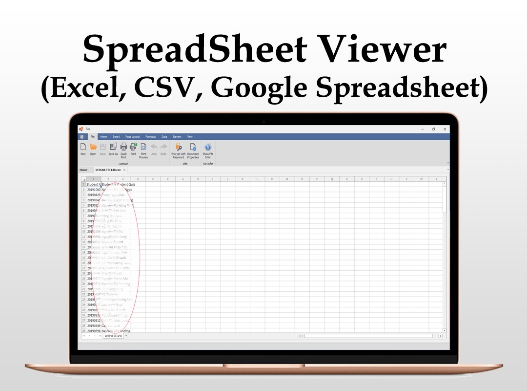 XLSX Spreadsheet Screenshot