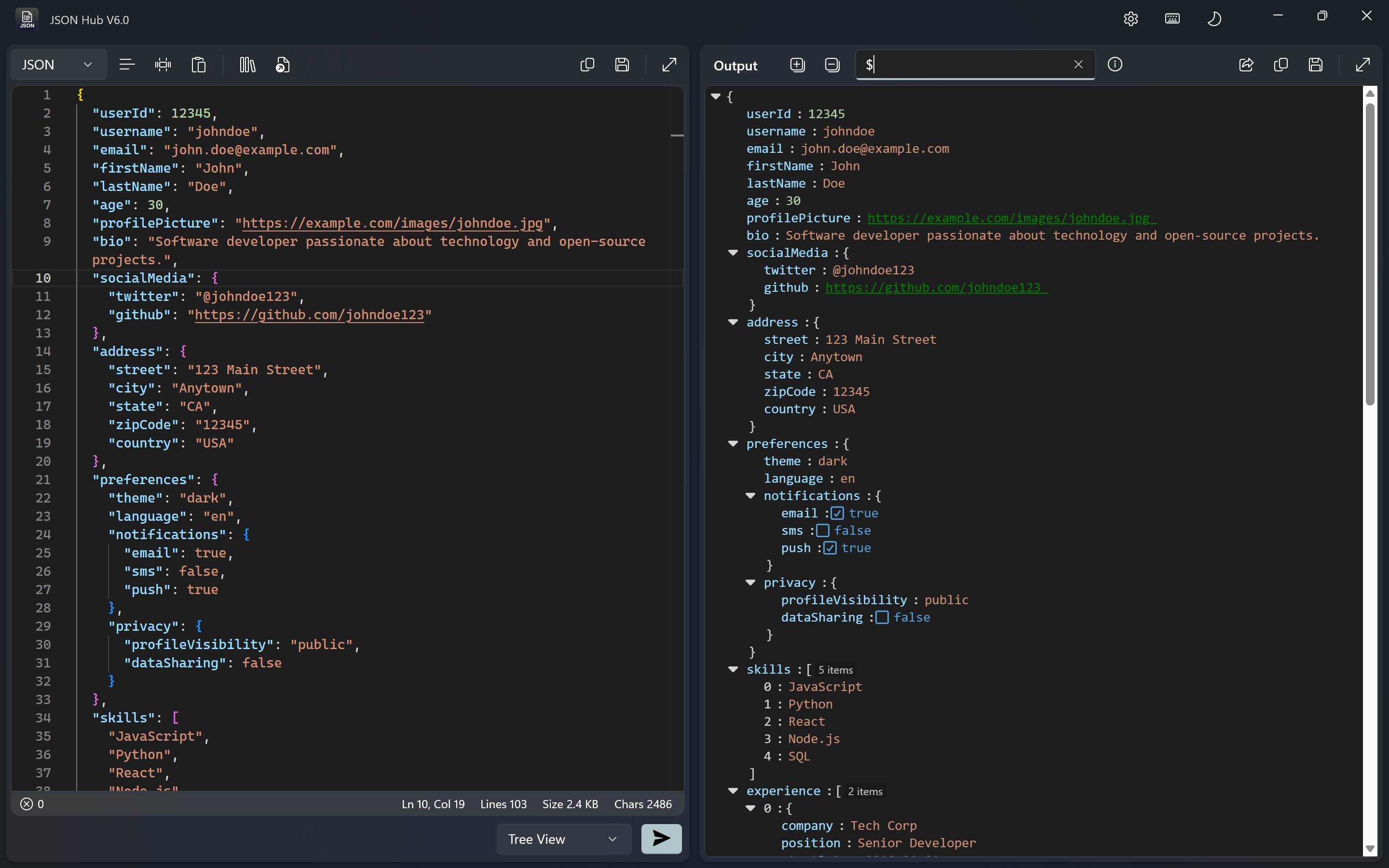 JSON Hub screenshot