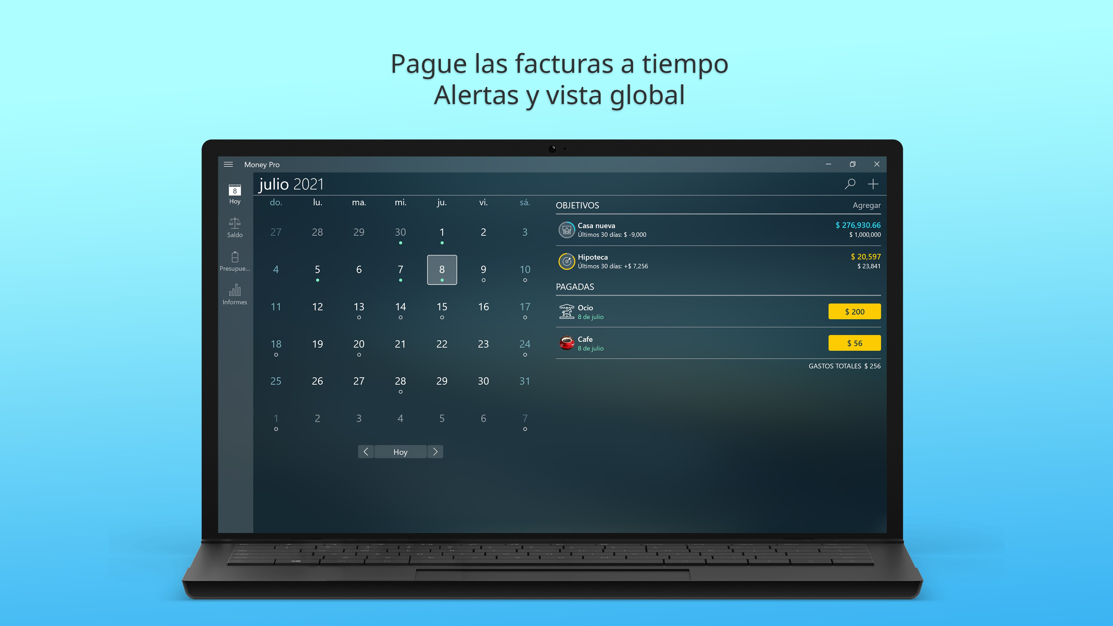 Captura de pantalla de Money Pro - Finanzas Personales, Presupuesto