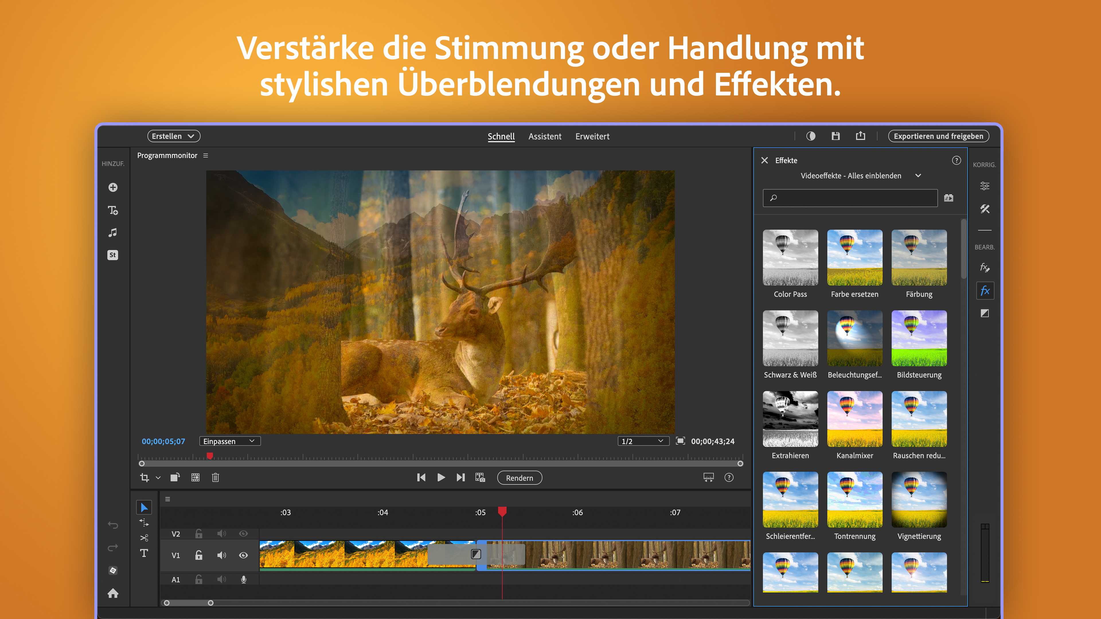 Adobe Premiere Elements 2026 Screenshot