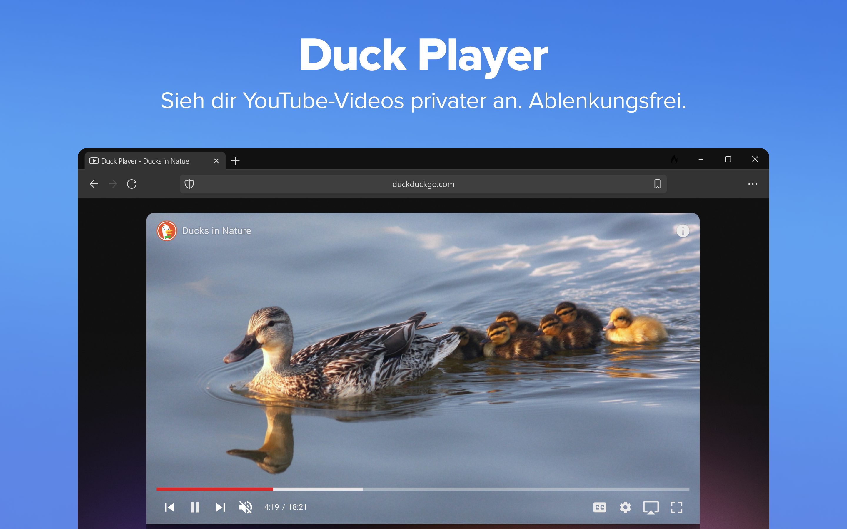 DuckDuckGo, Duck.ai (optional) Screenshot