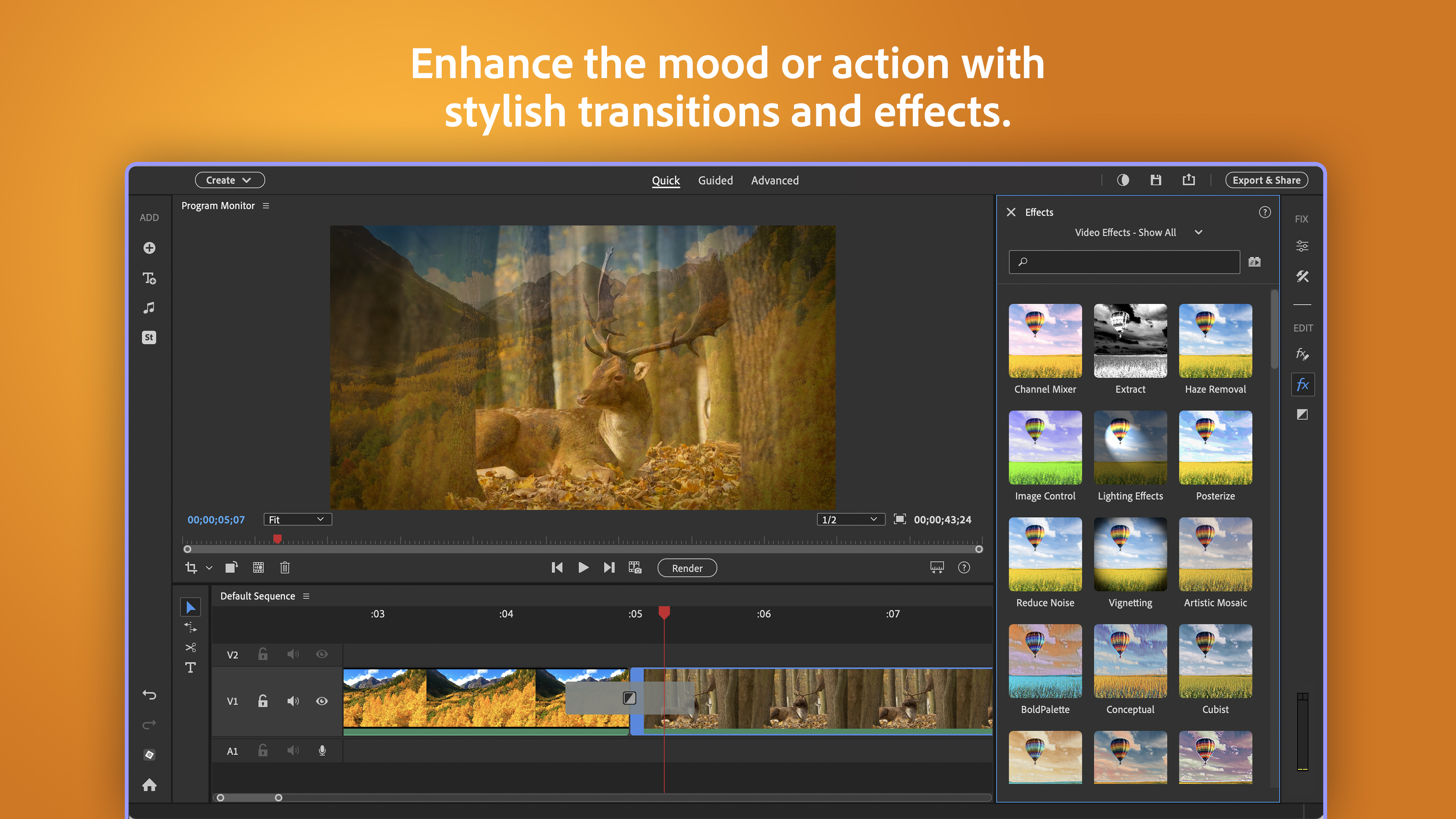 Adobe Photoshop Elements & Premiere Elements 2026 screenshot
