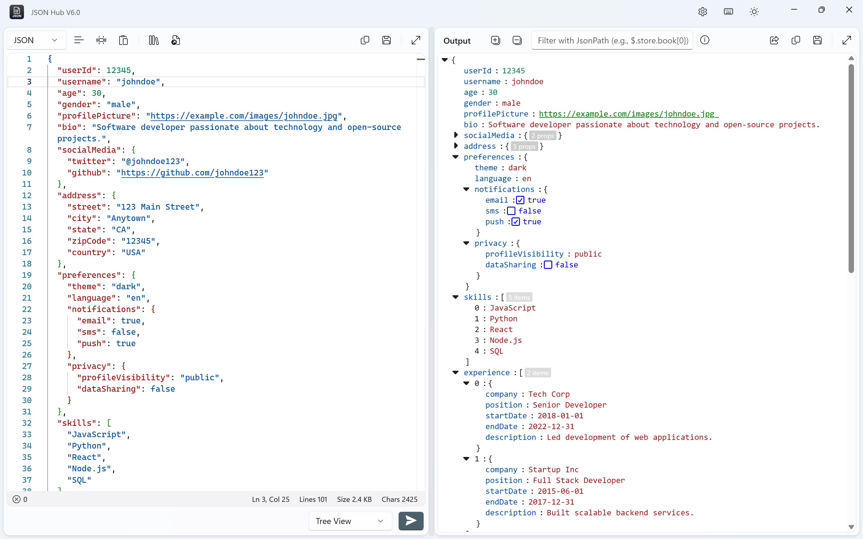 JSON Hub screenshot