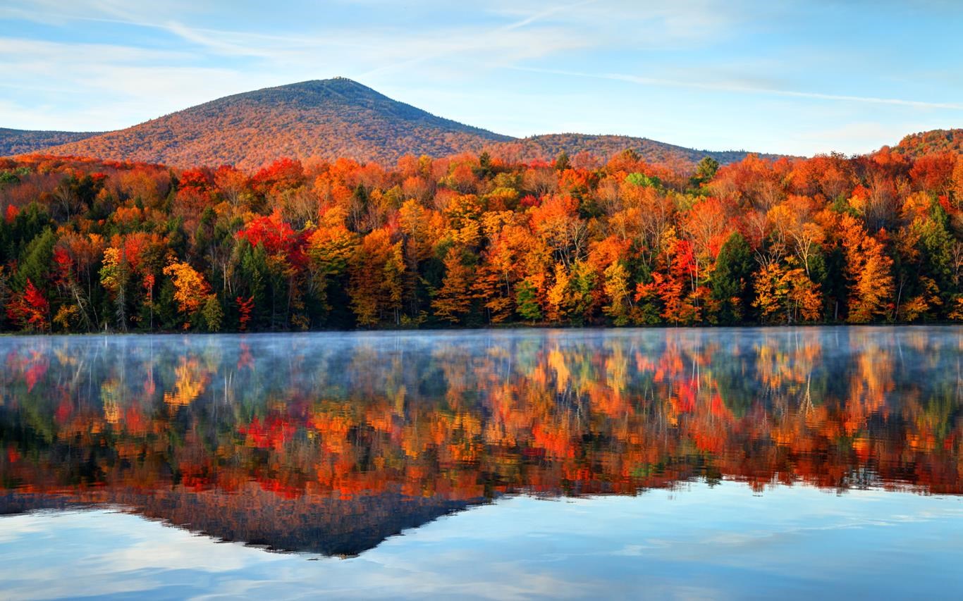 Autumn Colors screenshot