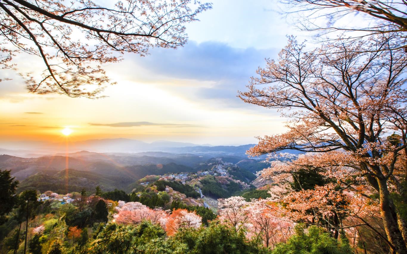Japanese Landscapes screenshot