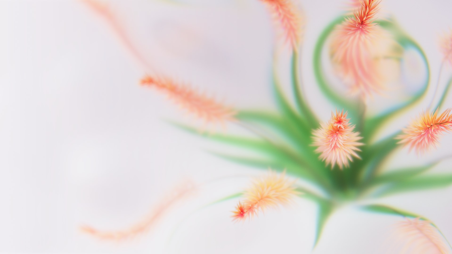 Flower Dreams screenshot
