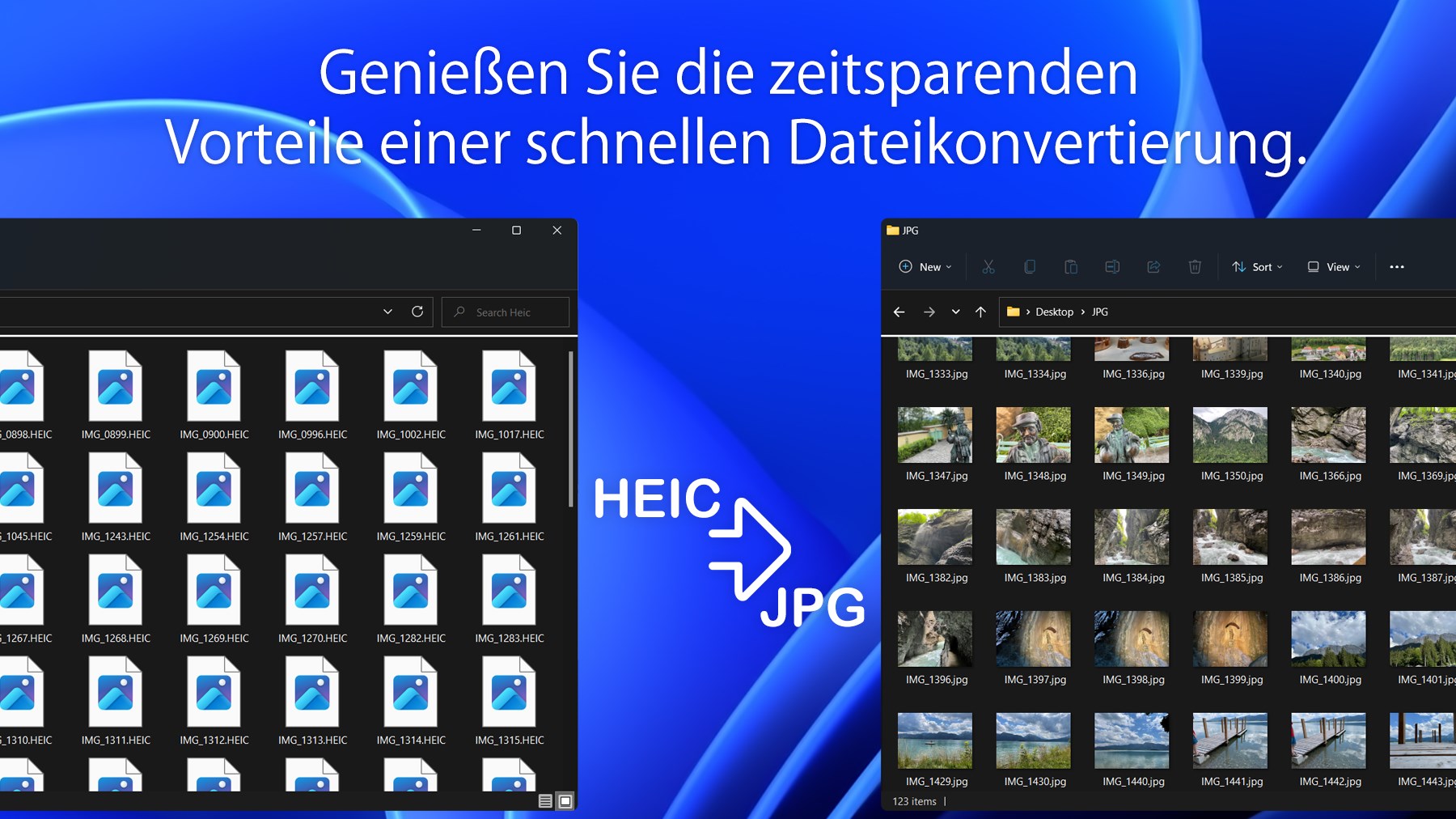 HEIC Converter Pro - HEIC to JPG Screenshot