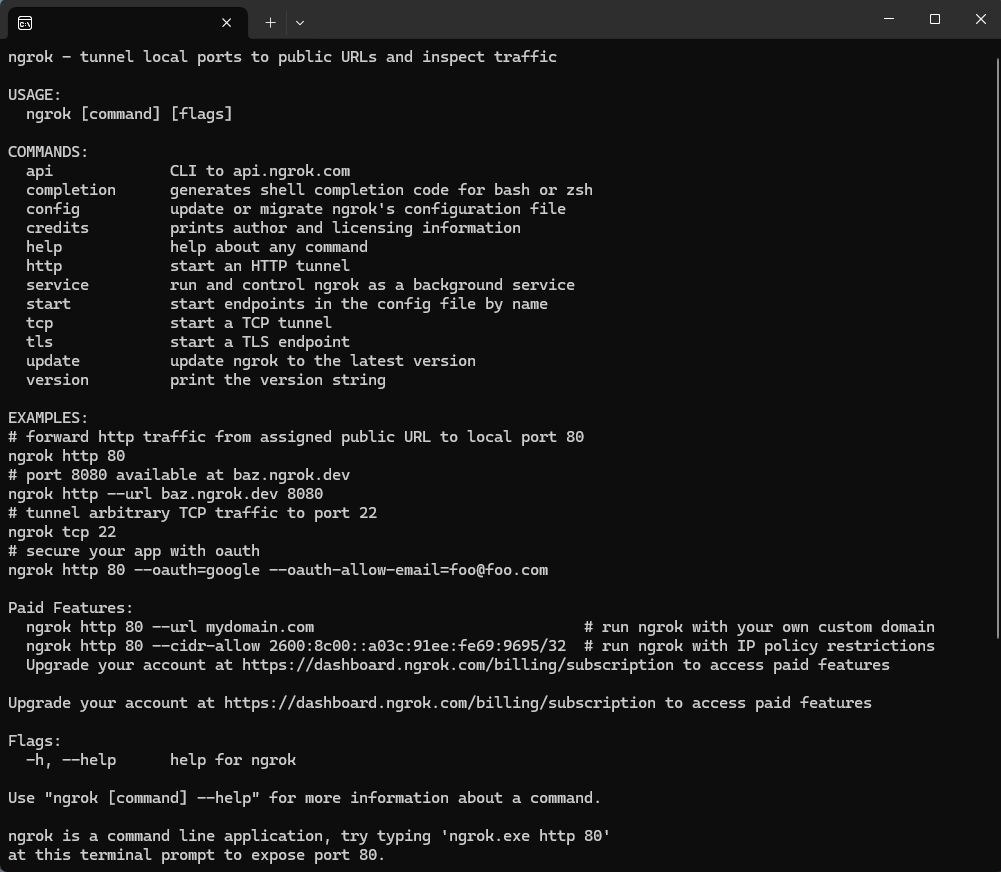 ngrok screenshot