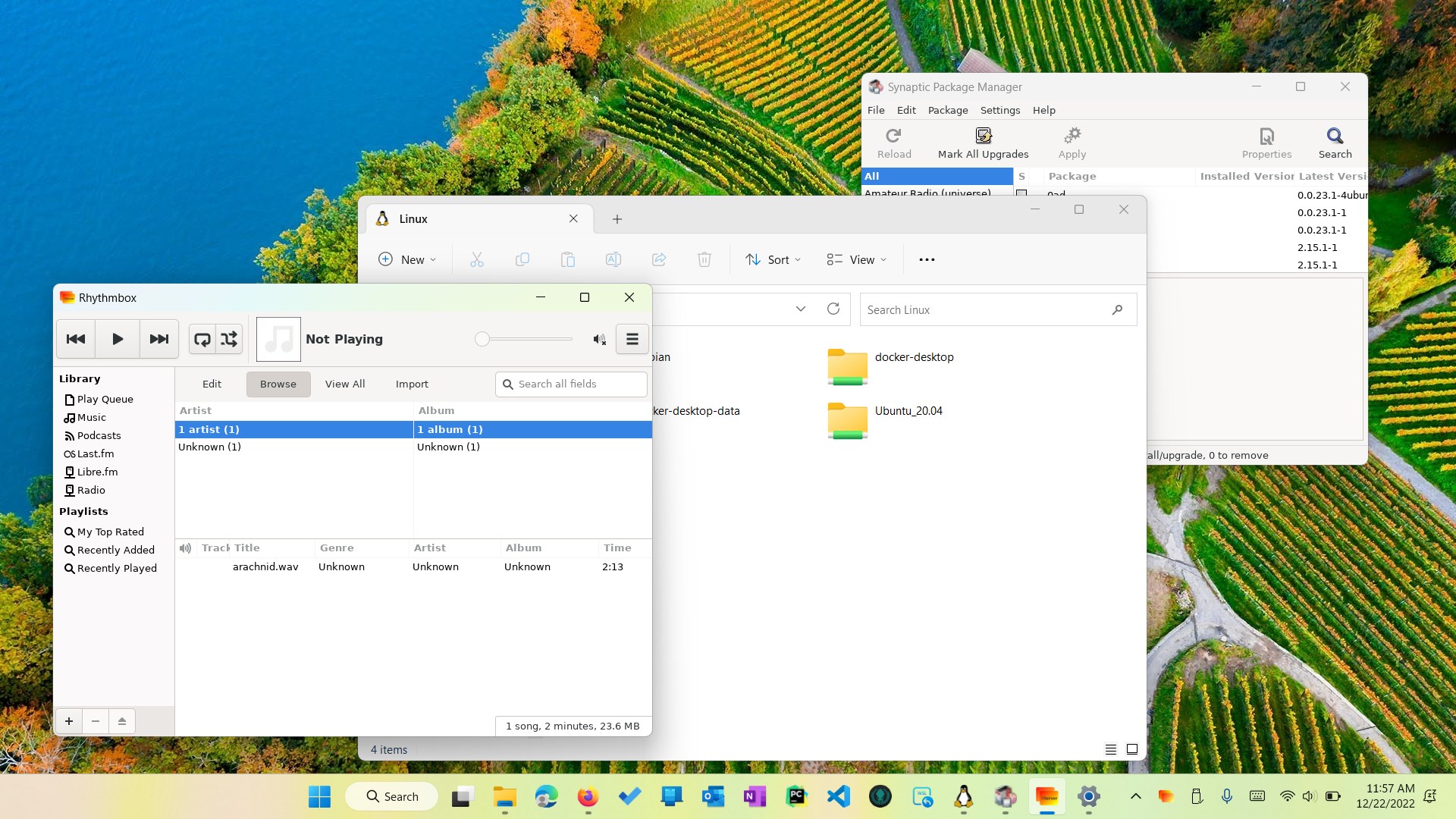 GWSL screenshot