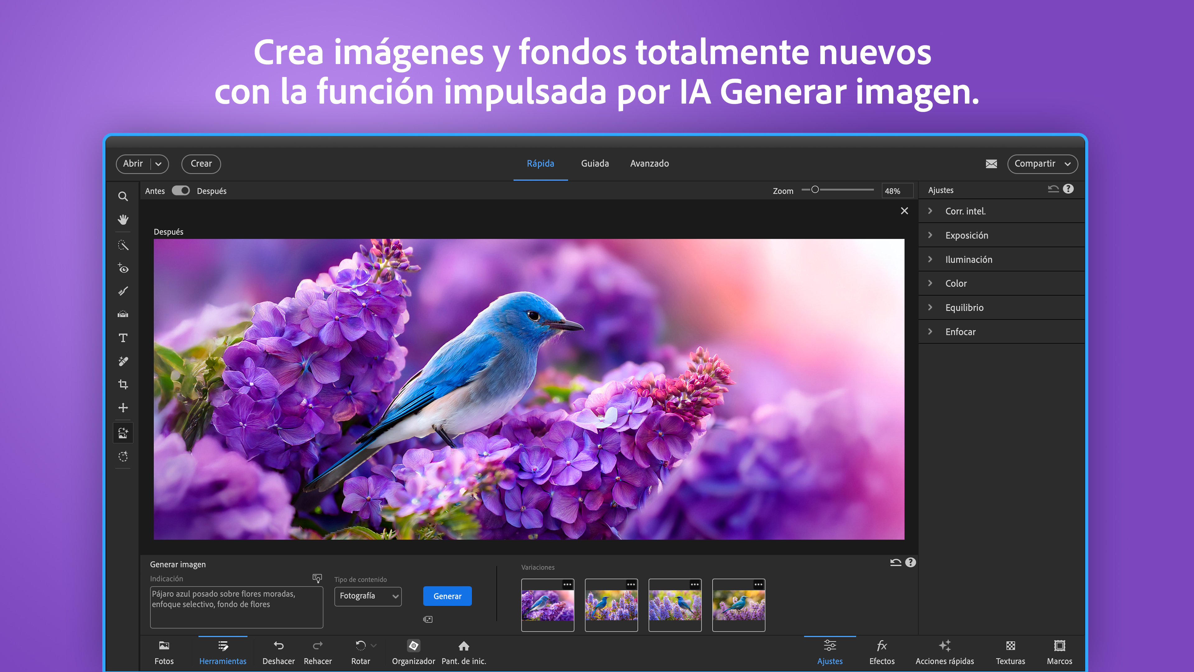 Captura de pantalla de Adobe Photoshop Elements 2026