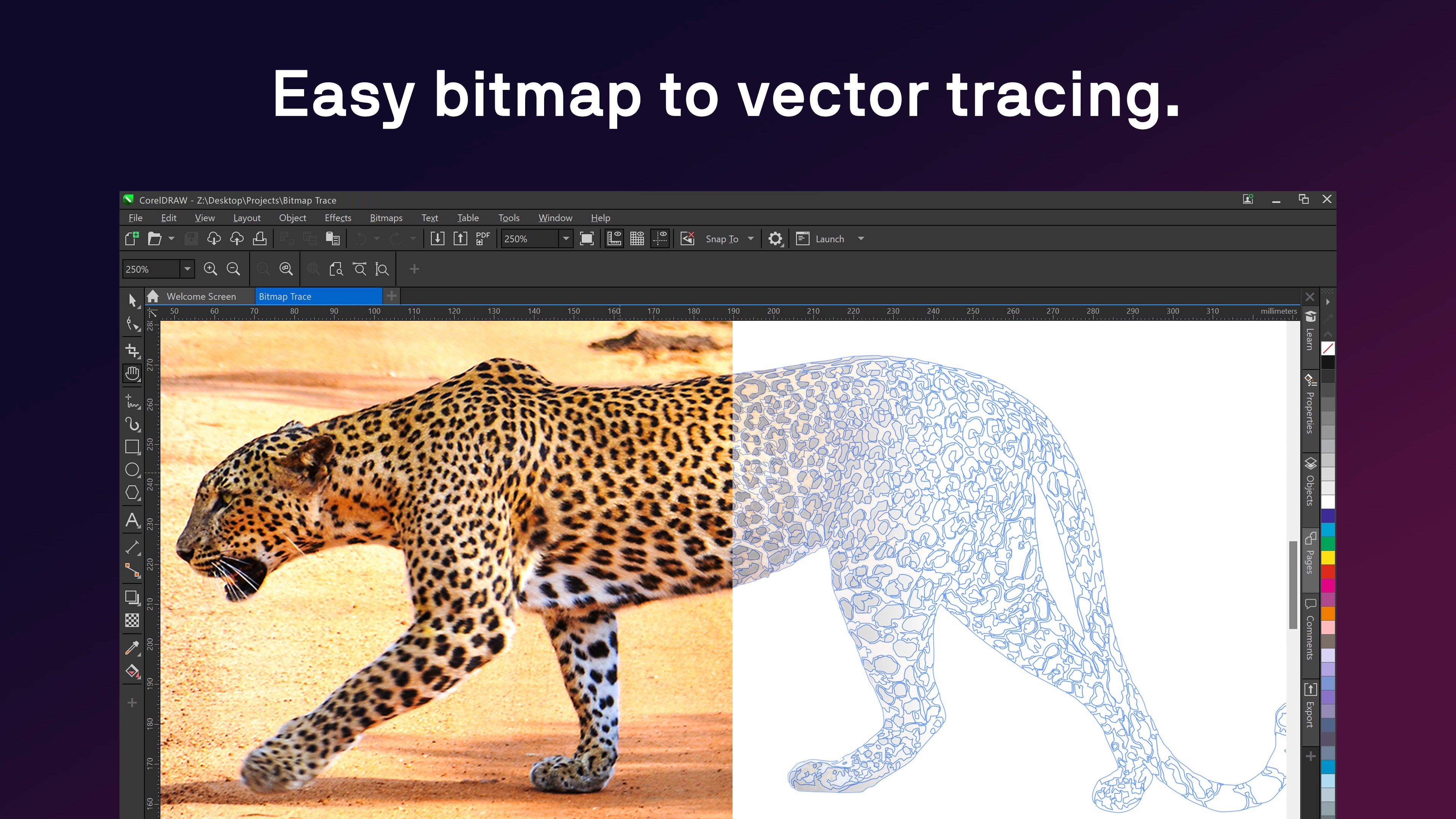 CorelDRAW Microsoft Store Edition screenshot
