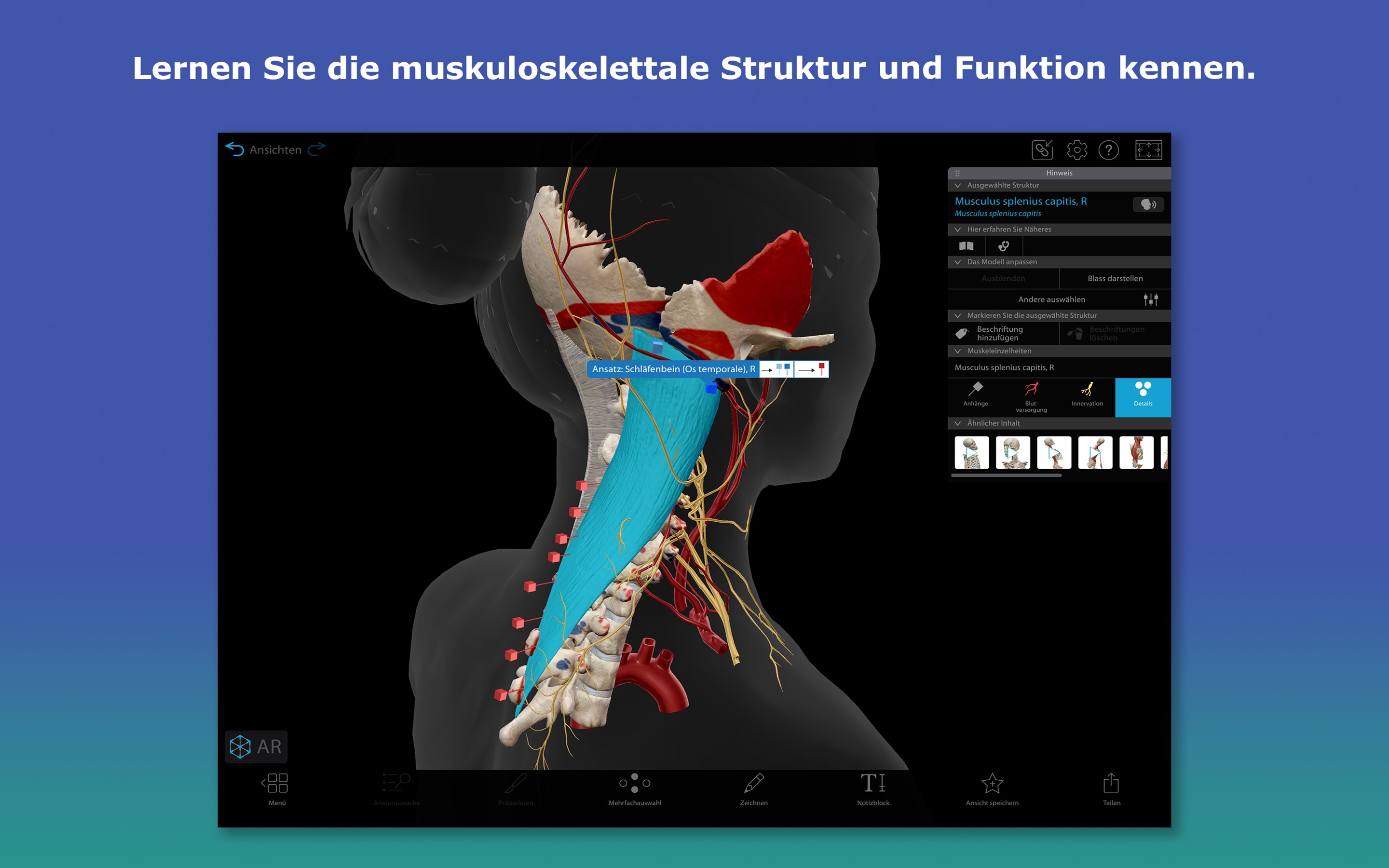 Atlas der Humananatomie 2026: Körper des Menschen in 3D Screenshot