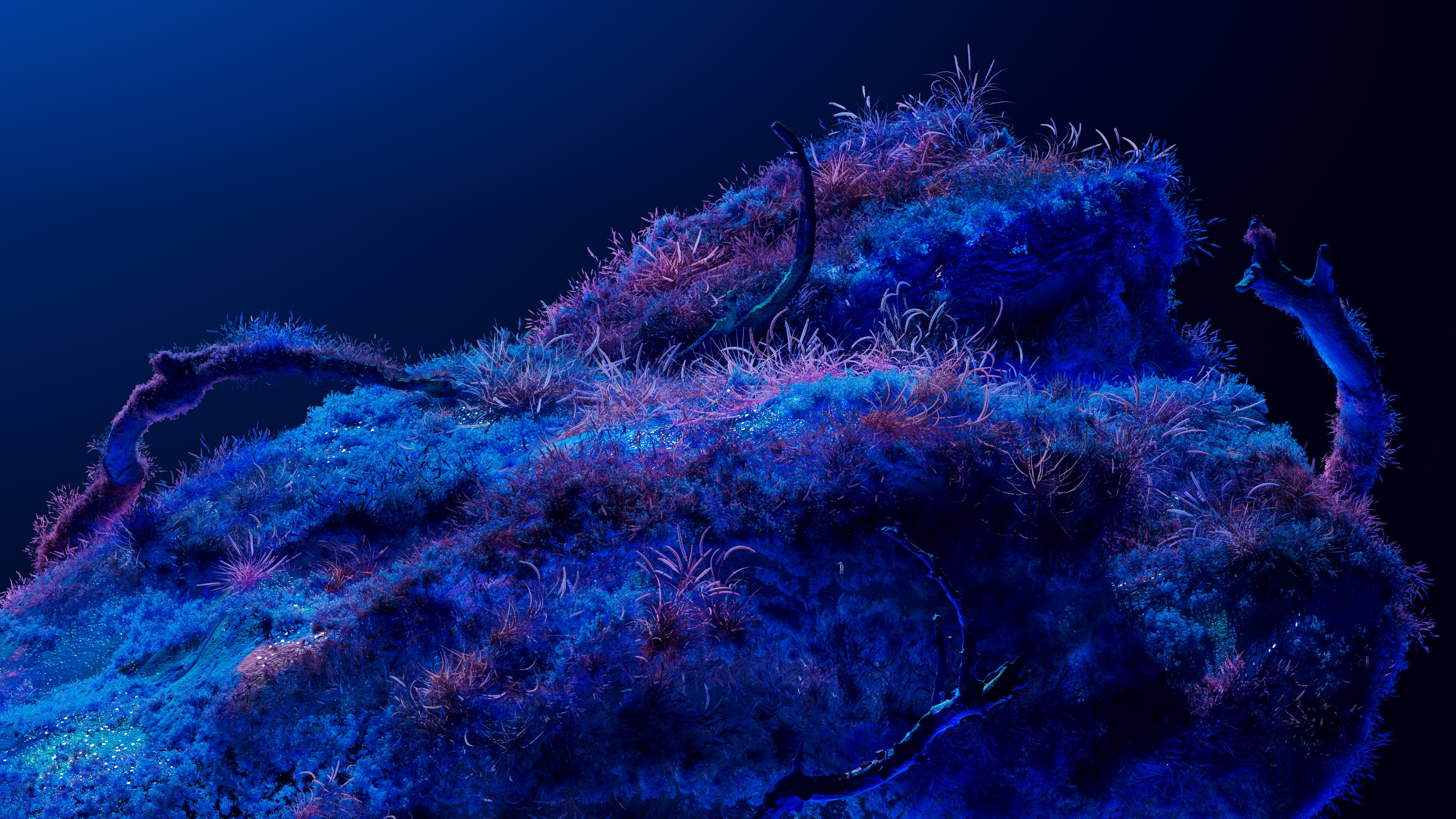 Cosmos Dreams screenshot