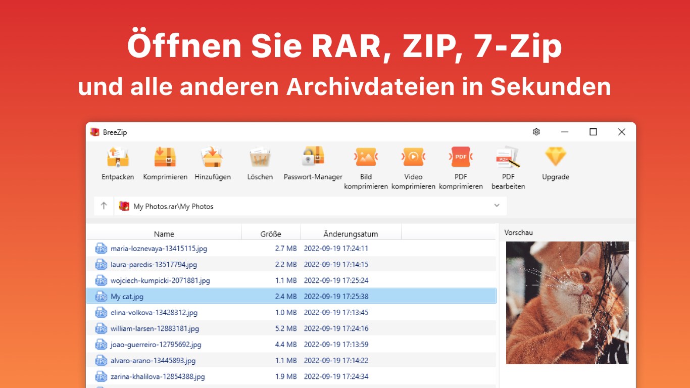 BreeZip: RAR & ZIP Screenshot