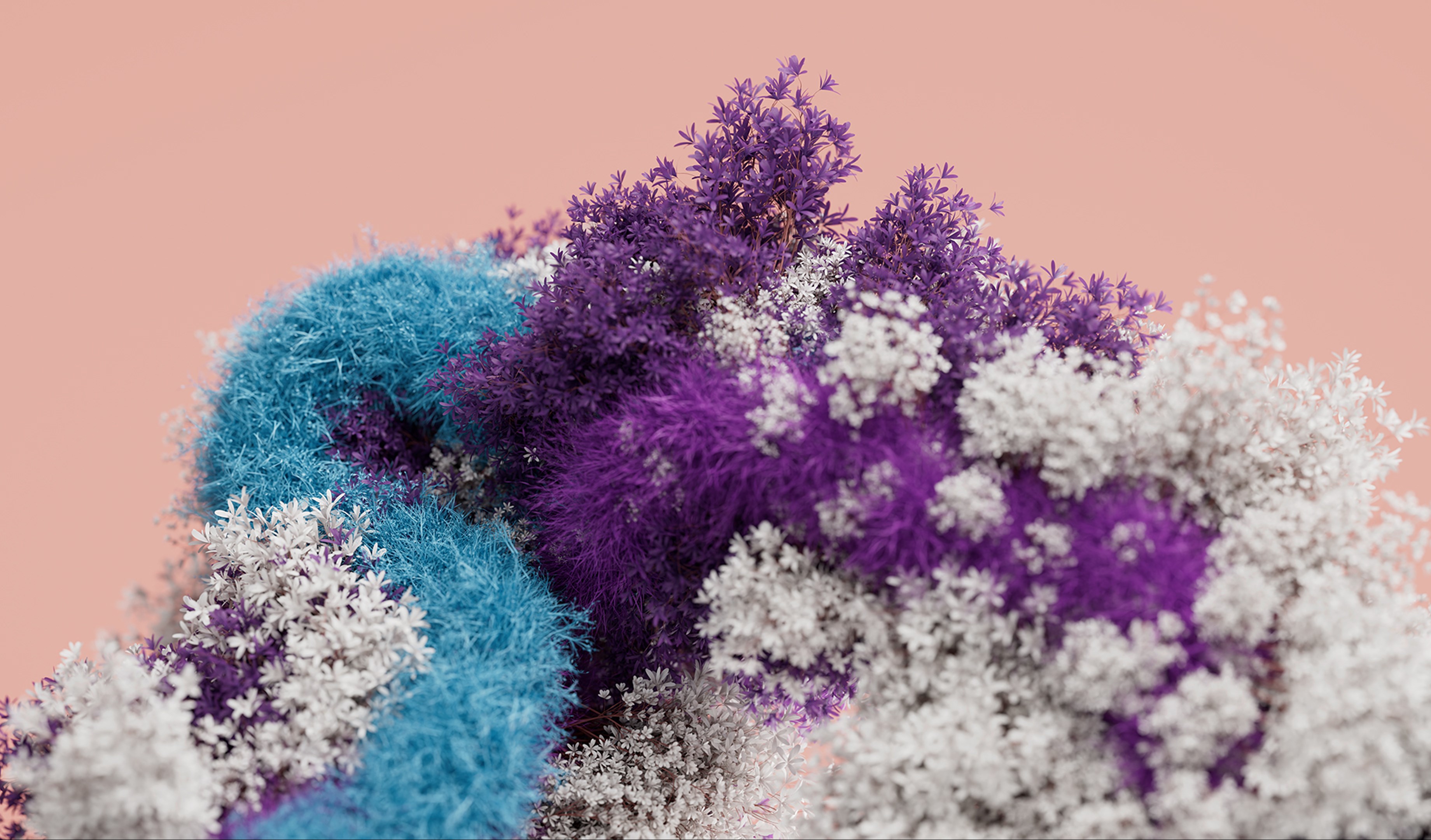 Blooming Dimensions screenshot