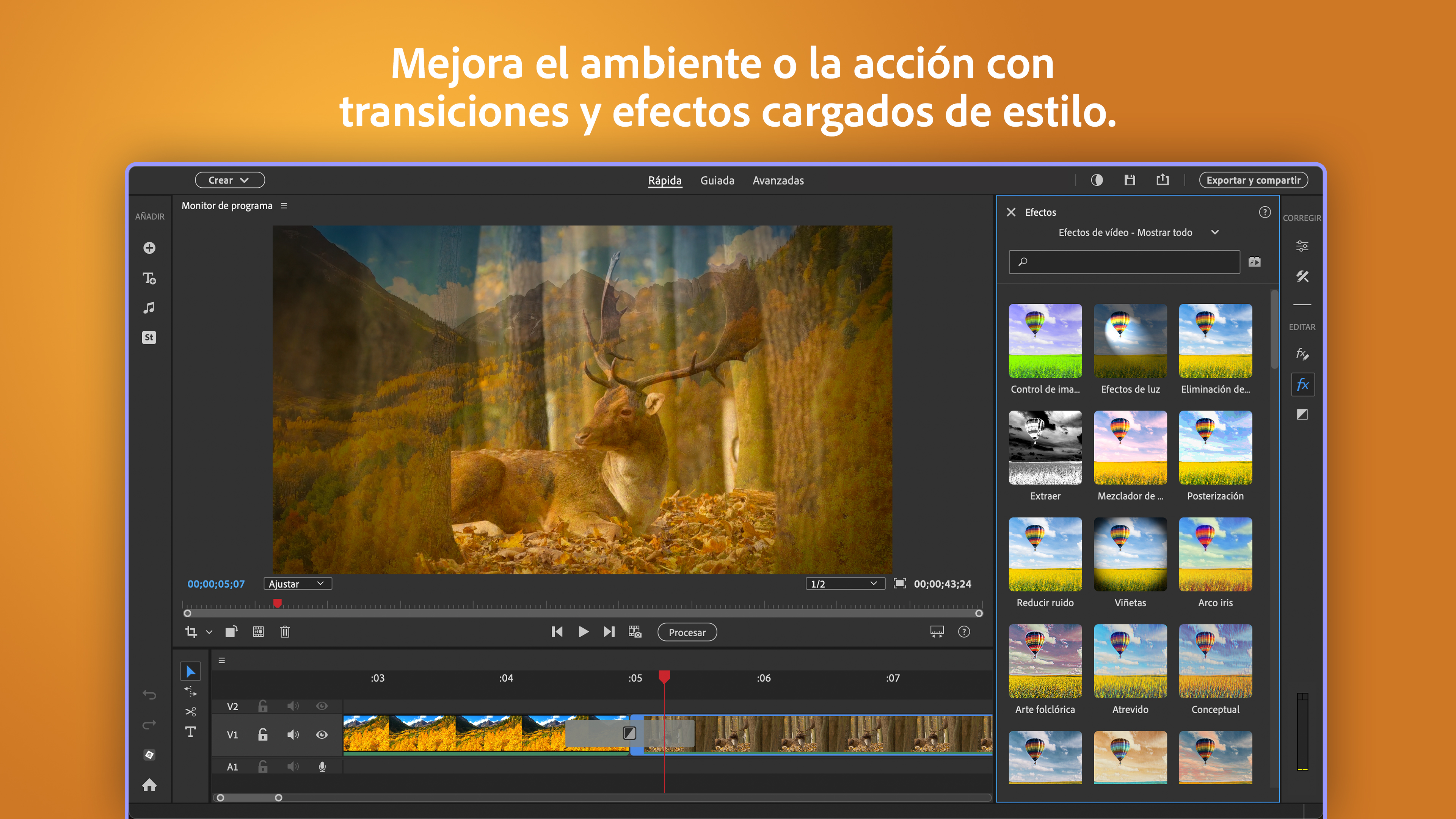 Captura de pantalla de Adobe Photoshop Elements & Premiere Elements 2026