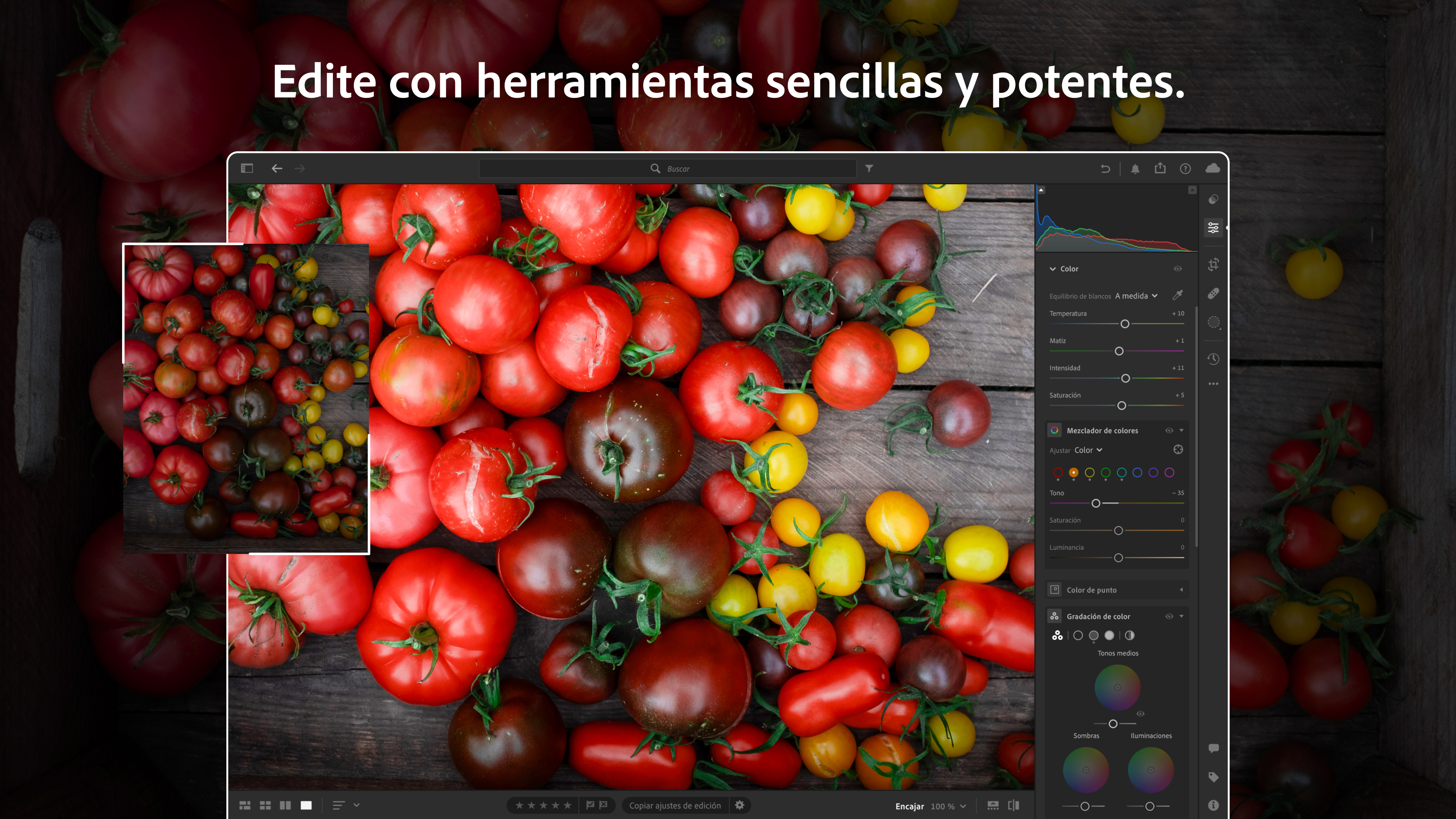 Captura de pantalla de Adobe Lightroom