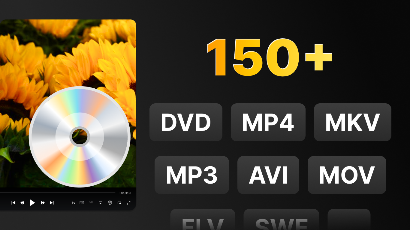 DVD+ screenshot