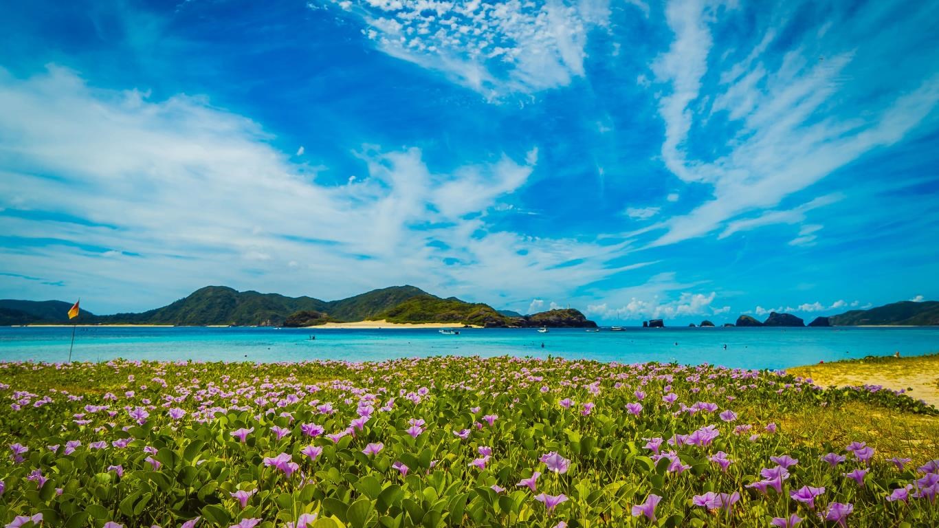 Japanese Islands screenshot