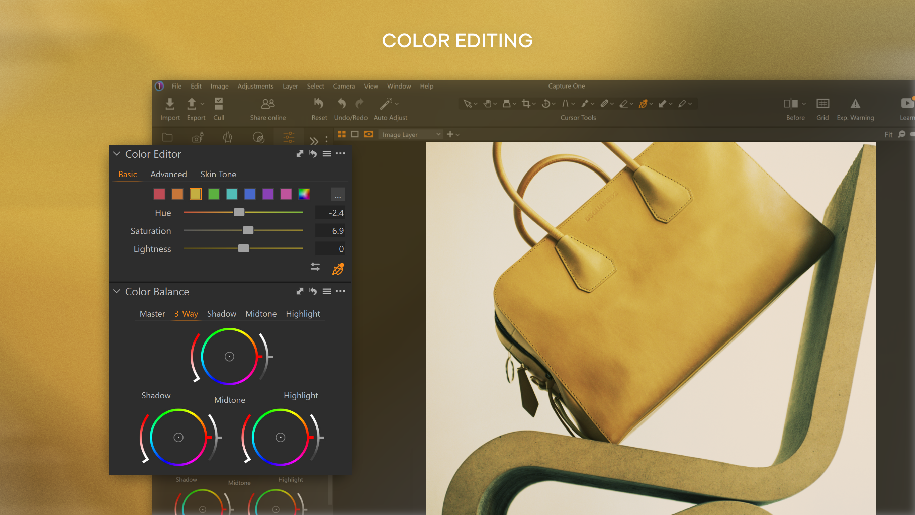 Capture One screenshot