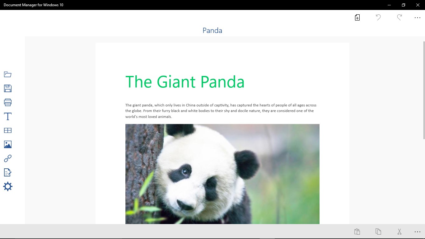 Captura de pantalla de Document Manager for Windows 10
