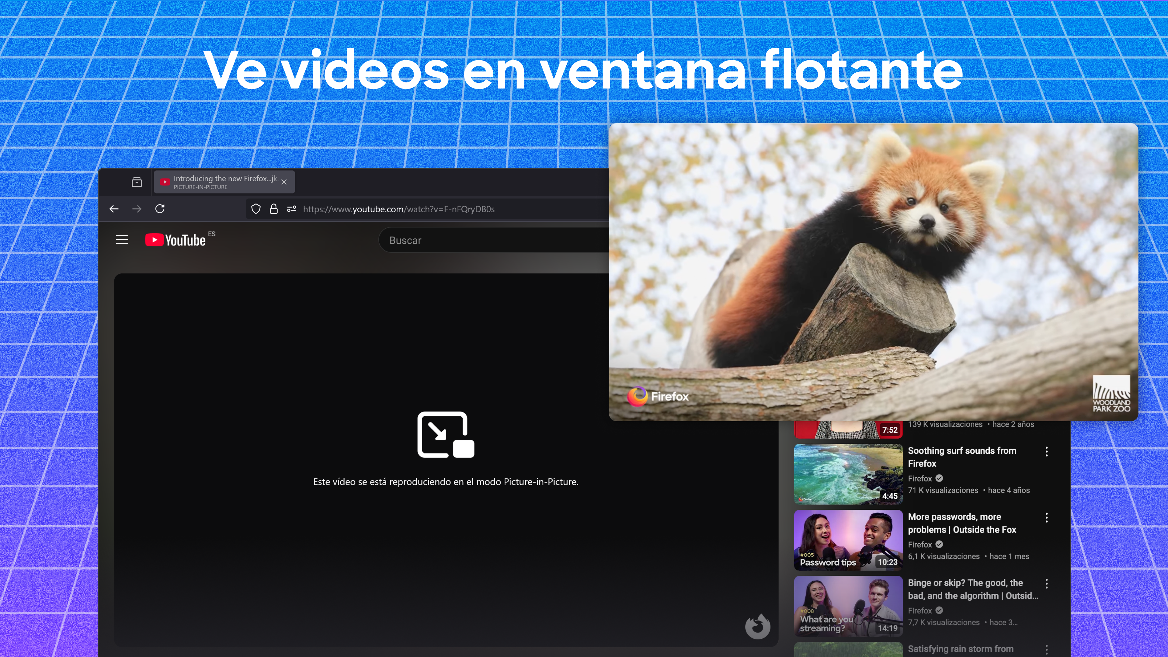 Captura de pantalla de Mozilla Firefox