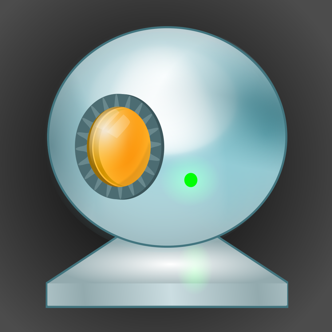 Webcam Surveyor-Symbol