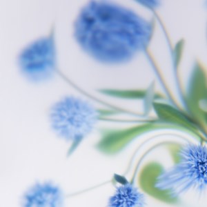 Flower Dreams